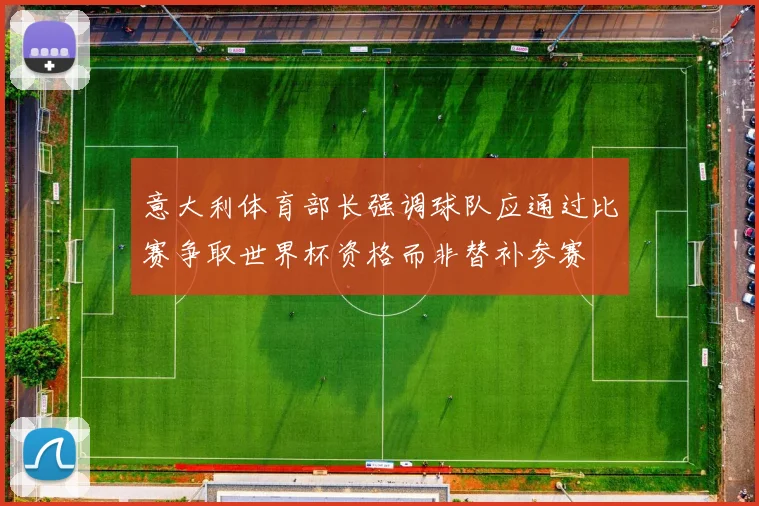 意大利体育部长强调球队应通过比赛争取世界杯资格而非替补参赛